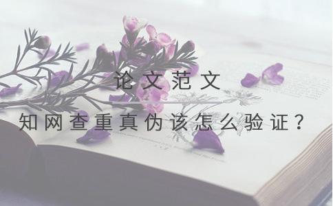 知網(wǎng)查重真?zhèn)卧撛趺打?yàn)證