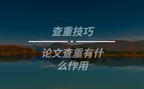 論文查重有什么作用